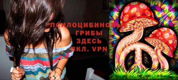 прущий лед Алексин