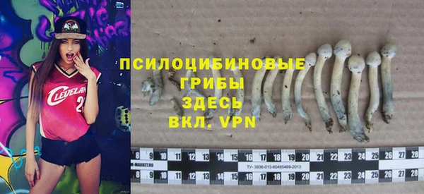 прущий лед Алексин
