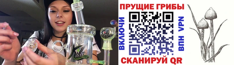 Галлюциногенные грибы GOLDEN TEACHER  KRAKEN вход  Углегорск 